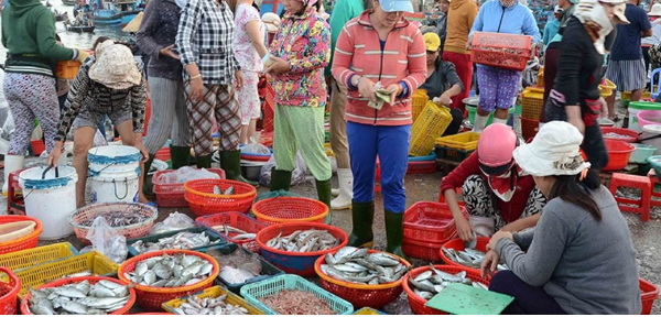 5 loại cá bẩn nhất, đi chợ đừng thấy tươi ngon mà mua về, một loại nhiều người ưa chuộng gọi là “sâm nước”